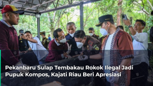 pekanbaru-sulap-tembakau-rokok-ilegal-jadi-pupuk-kompos-kajati-riau-beri-apresiasi